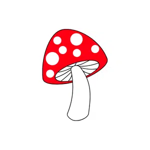 Mushroom | Forest Things Names for Kids in English