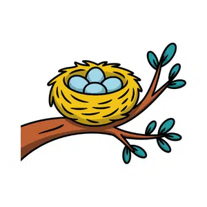 Nest | Forest Things Names for Kids in English
