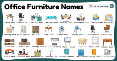 Office Furniture Names for Kids in English with Pictures