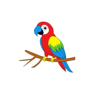 Parrot 