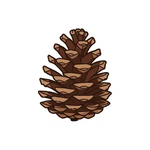 Pinecone