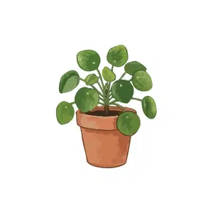 Plant pot | Home Decoration Items Names for Kids