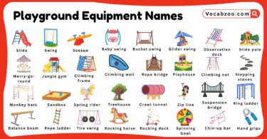 Playground Equipment Names for Kids in English with Pictures