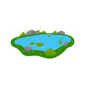 Pond | Forest Things Names for Kids in English