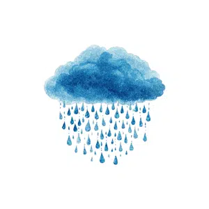 Rain | Forest Things Names for Kids in English