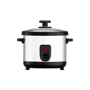 Rice cooker | Electric Appliances Names for Kids