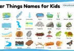 River Things Names for Kids in English with Pictures