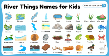 River Things Names for Kids in English with Pictures