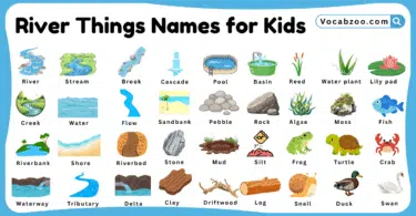 River Things Names for Kids in English with Pictures