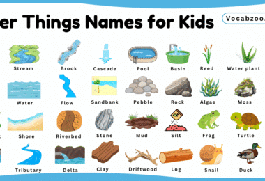River Things Names for Kids in English with Pictures