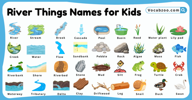 River Things Names for Kids in English with Pictures