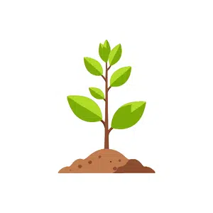 Sapling | Forest Things Names for Kids in English