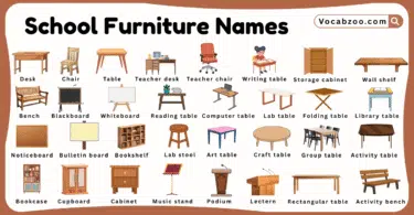 School Furniture Names for Kids in English with Pictures