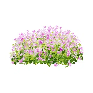 Shrub | Mountain Things Names for Kids in English