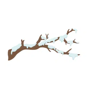 Snowfall | Mountain Things Names for Kids in English