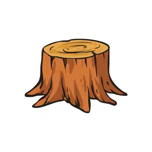  Stump | Forest Things Names for Kids in English