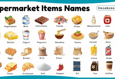 Supermarket Items Names for Kids in English with Pictures