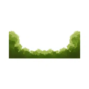 Thicket | Forest Things Names for Kids in English