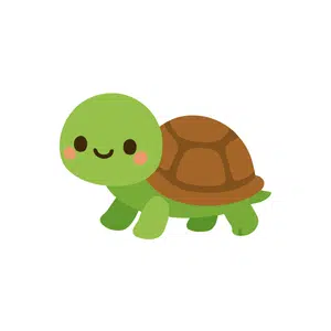 Tortoise | Forest Things Names for Kids in English