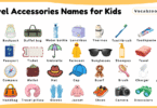 Travel Accessories Names for Kids in English with Pictures