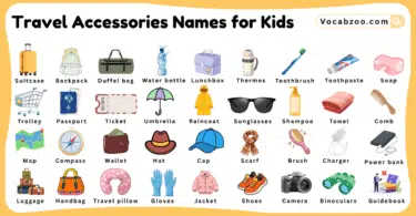 Travel Accessories Names for Kids in English with Pictures