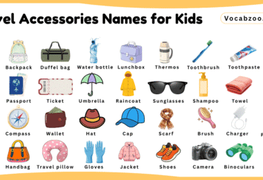 Travel Accessories Names for Kids in English with Pictures
