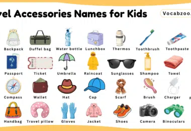 Travel Accessories Names for Kids in English with Pictures