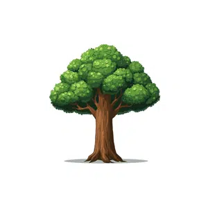 Tree | Forest Things Names for Kids in English