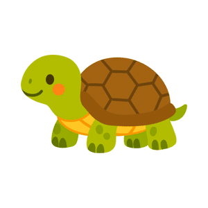 Turtle | River Things Names for Kids in English