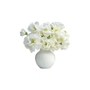 Vase | Home Decoration Items Names for Kids