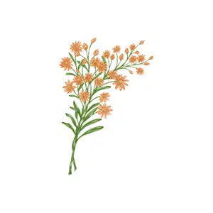 Wildflower