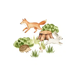Woodland
