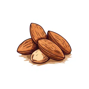 Almonds | Healthy Food Names for Kids in English