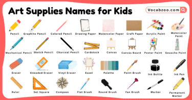 Art Supplies Names for Kids in English with Pictures