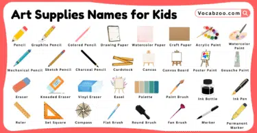 Art Supplies Names for Kids in English with Pictures