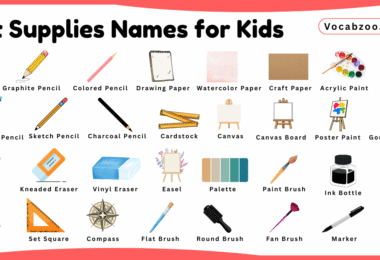 Art Supplies Names for Kids in English with Pictures