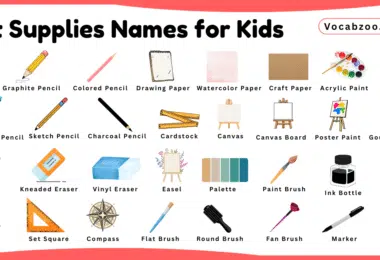 Art Supplies Names for Kids in English with Pictures