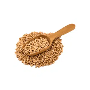 Barley | Healthy Food Names for Kids in English