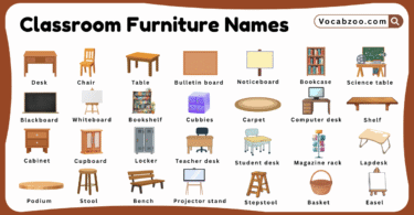 Classroom Furniture Names for Kids in English with Pictures