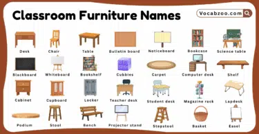 Classroom Furniture Names for Kids in English with Pictures
