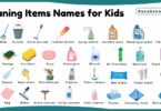 Cleaning Items Names for Kids in English with Pictures