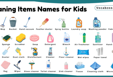 Cleaning Items Names for Kids in English with Pictures