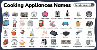 Cooking Appliances Names for Kids in English with Pictures
