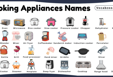 Cooking Appliances Names for Kids in English with Pictures