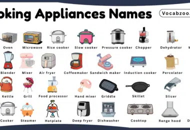 Cooking Appliances Names for Kids in English with Pictures