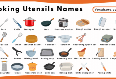 Cooking Utensils Names for Kids in English with Pictures