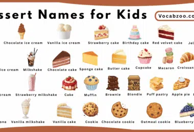 Dessert Names for Kids in English with Pictures