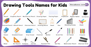 Drawing Tools Names for Kids in English with Pictures