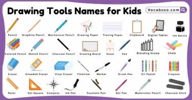 Drawing Tools Names for Kids in English with Pictures