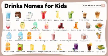 Drinks Names for Kids in English with Pictures